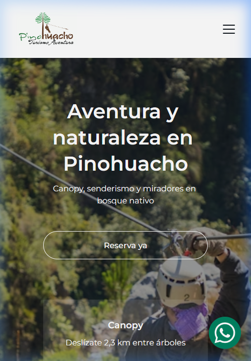 Proyecto Pinohuacho